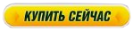 Купить сейчас